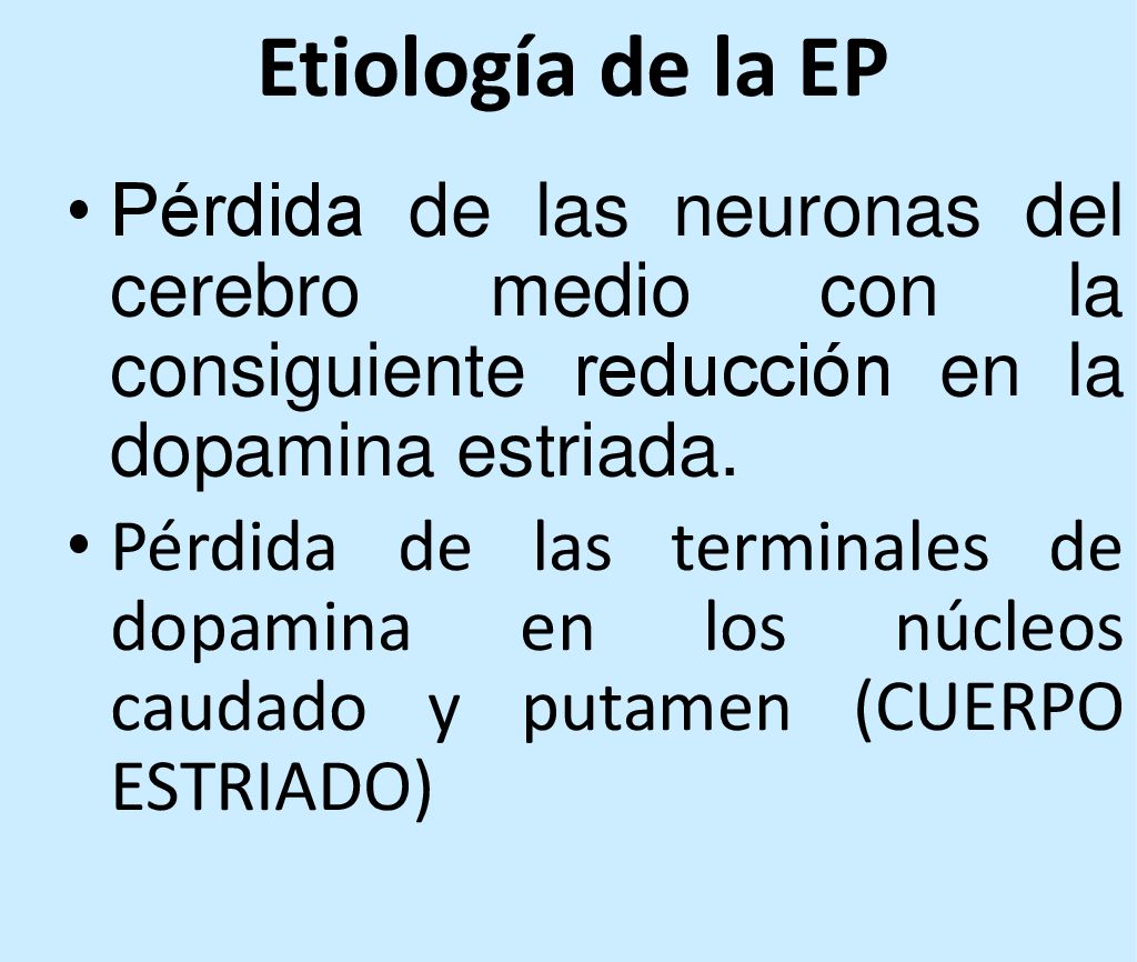 Etiología de la EP Pérdida de las neuronas del cerebro medio con la consiguiente reducción en la dopamina estriada.