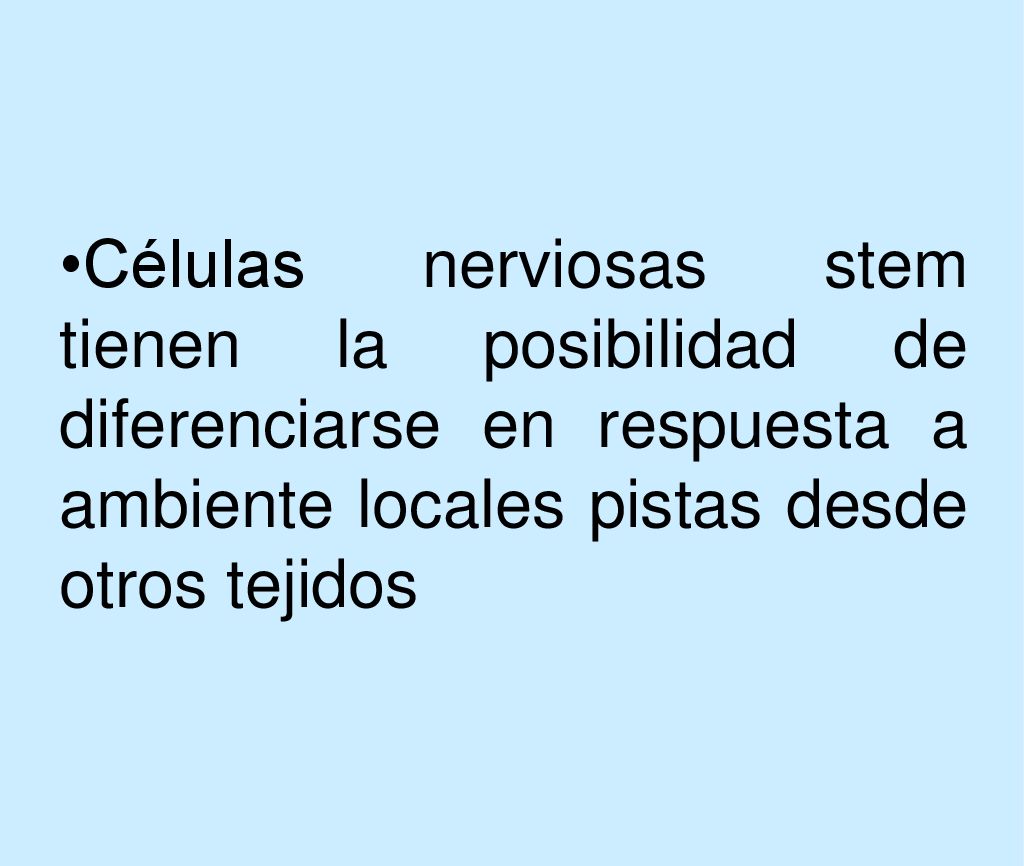 Células nerviosas stem tienen la posibilidad de diferenciarse en respuesta a ambiente locales pistas desde otros tejidos