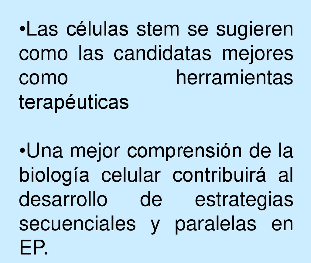 Las células stem se sugieren como las candidatas mejores como herramientas terapéuticas