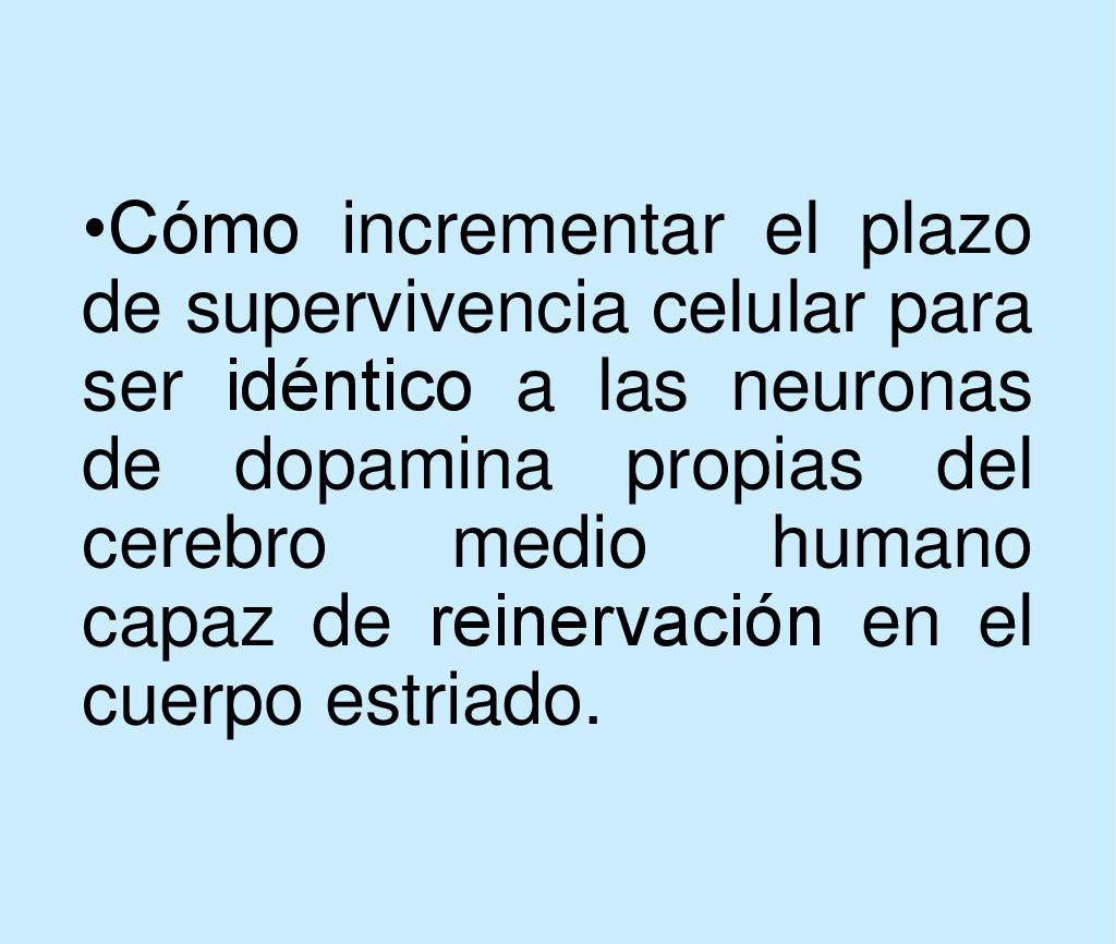 Cómo incrementar el plazo de supervivencia celular para ser idéntico a las neuronas de dopamina propias del cerebro medio humano capaz de reinervación en el cuerpo estriado.