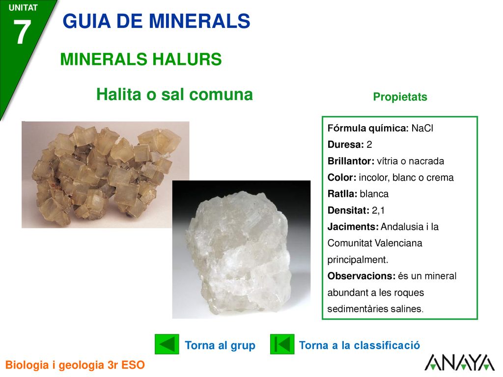 7 GUIA DE MINERALS MINERALS HALURS Halita o sal comuna Propietats