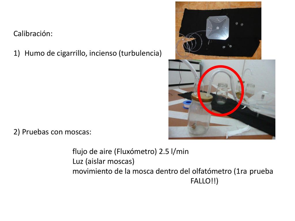 Calibración: Humo de cigarrillo, incienso (turbulencia) 2) Pruebas con moscas: flujo de aire (Fluxómetro) 2.5 l/min.