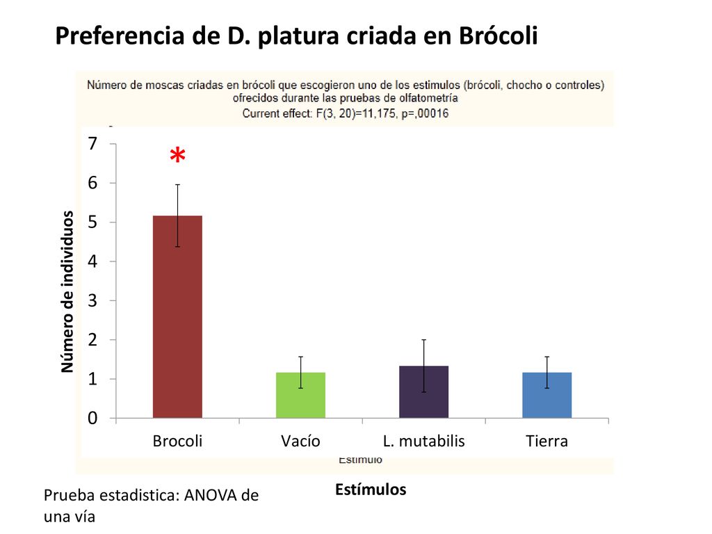 * * Preferencia de D. platura criada en Brócoli Número de individuos