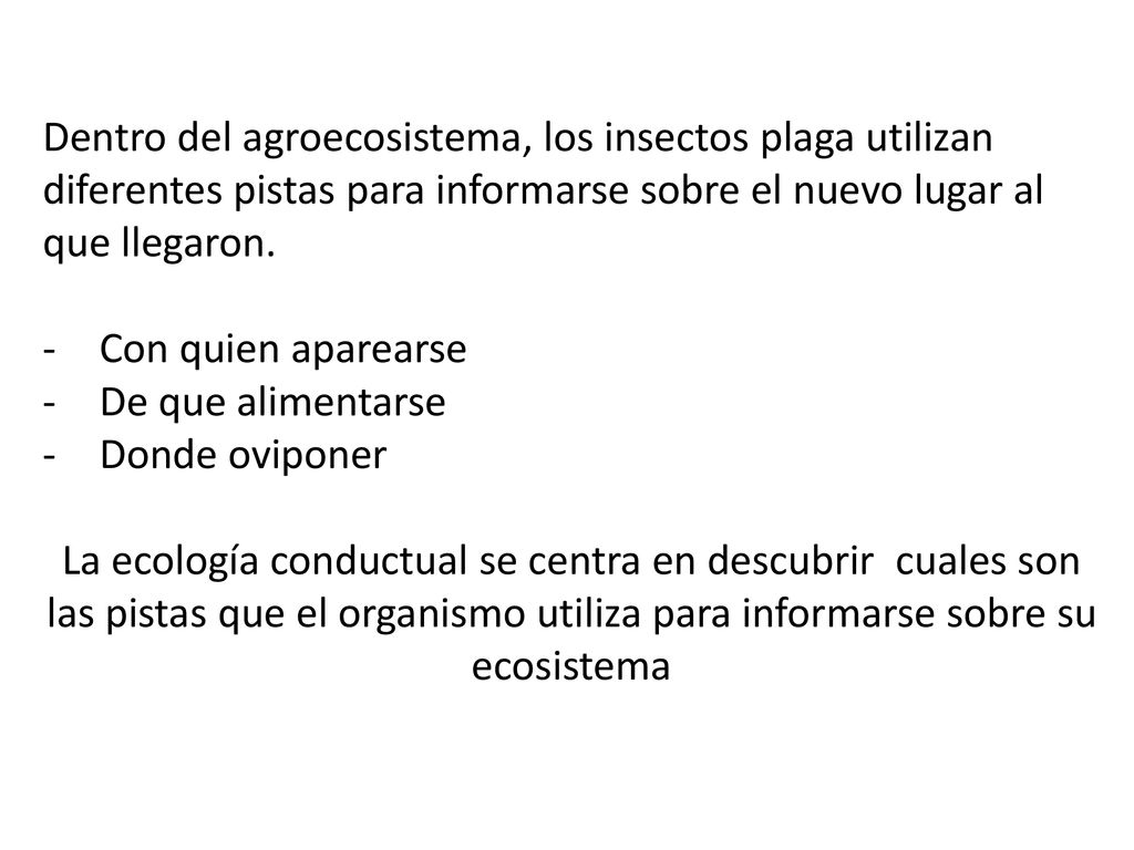 Dentro del agroecosistema, los insectos plaga utilizan diferentes pistas para informarse sobre el nuevo lugar al que llegaron.