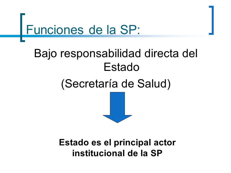 Estado es el principal actor institucional de la SP