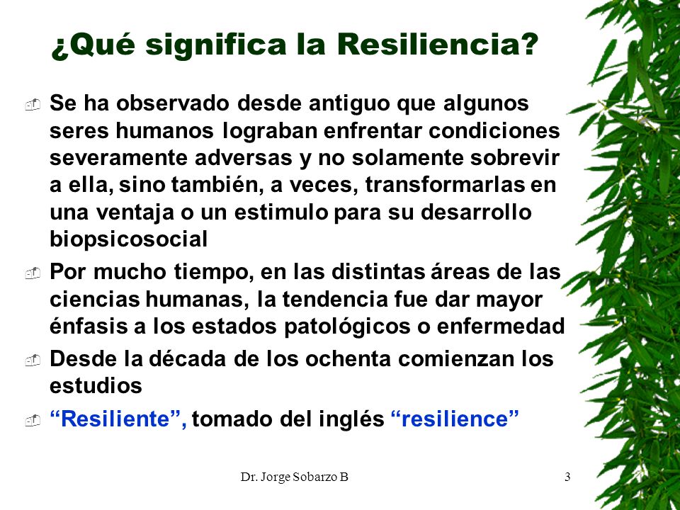 ¿Qué significa la Resiliencia