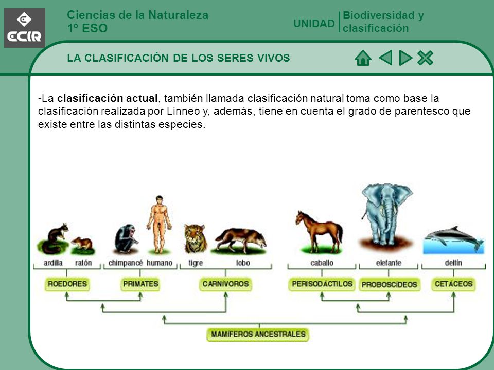 1º ESO Ciencias de la Naturaleza Biodiversidad y clasificación UNIDAD