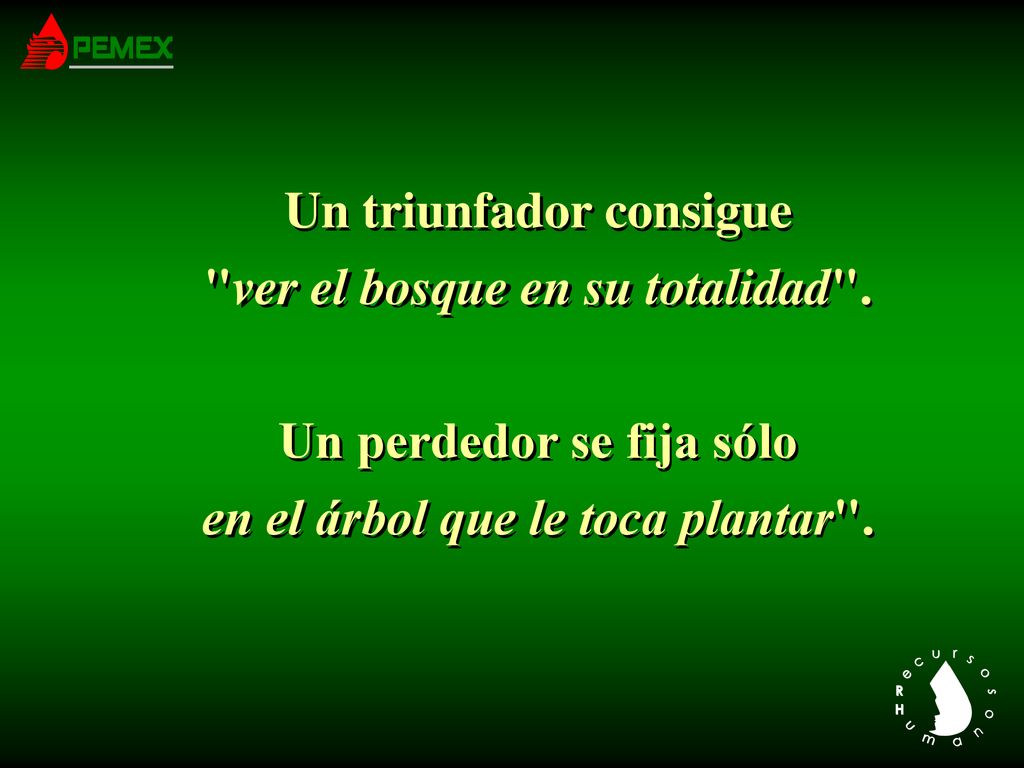 Un triunfador consigue ver el bosque en su totalidad .