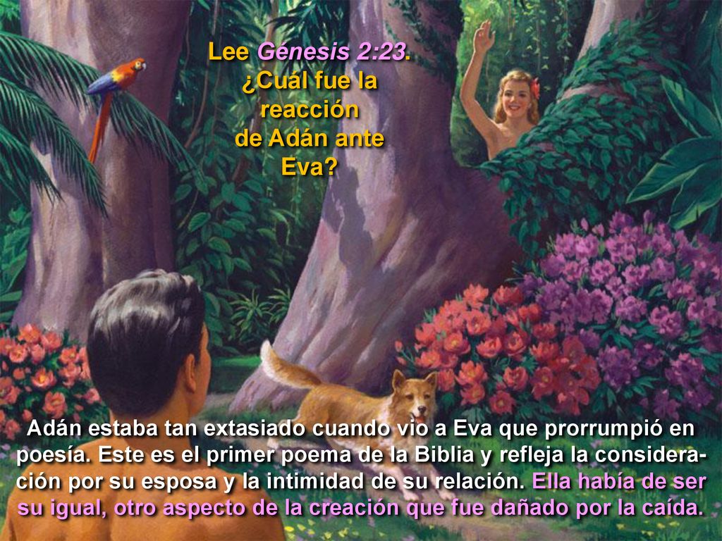 Lee Génesis 2:23. ¿Cuál fue la reacción de Adán ante Eva
