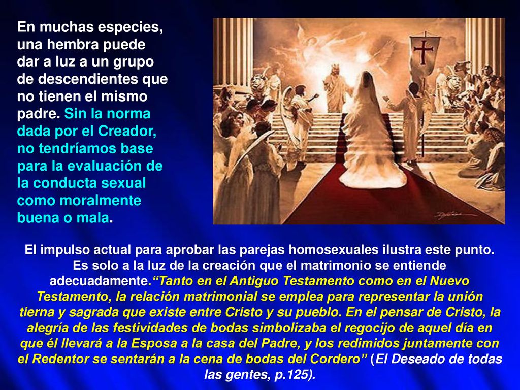 En muchas especies, una hembra puede dar a luz a un grupo