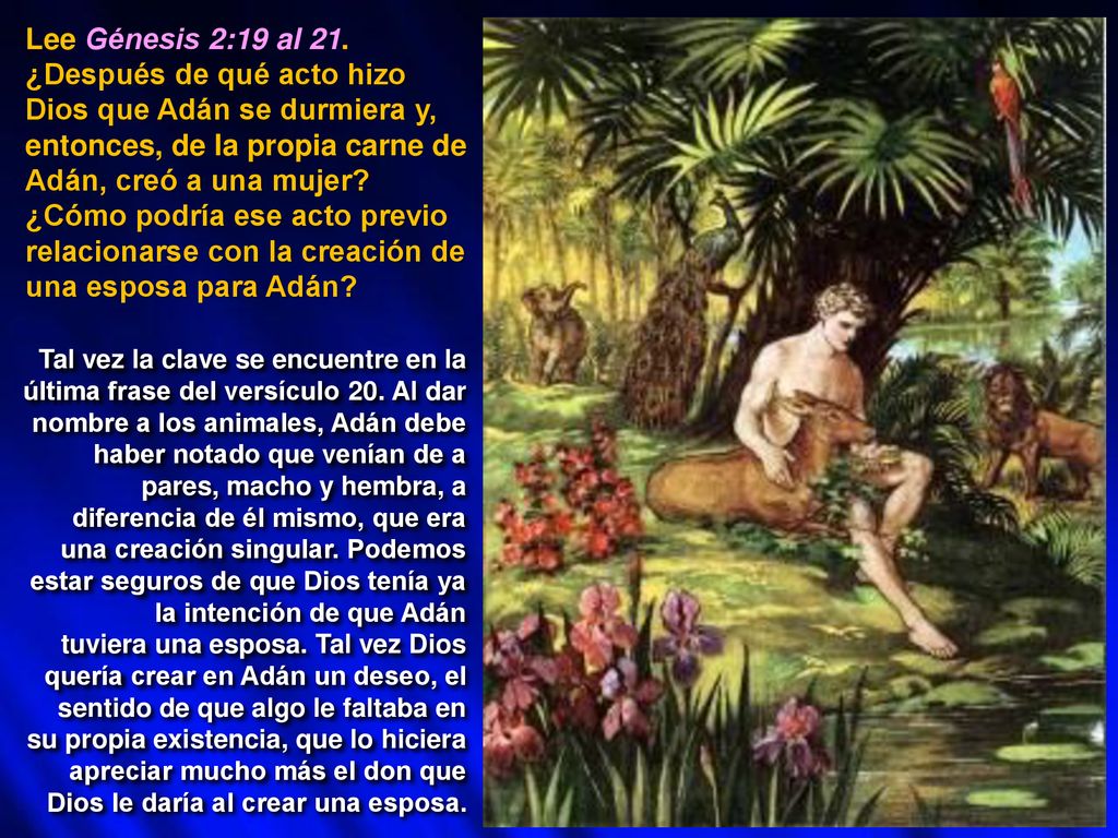 Lee Génesis 2:19 al 21. ¿Después de qué acto hizo Dios que Adán se durmiera y, entonces, de la propia carne de Adán, creó a una mujer ¿Cómo podría ese acto previo relacionarse con la creación de una esposa para Adán