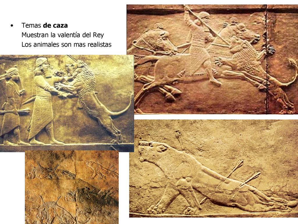 Temas de caza Muestran la valentía del Rey Los animales son mas realistas