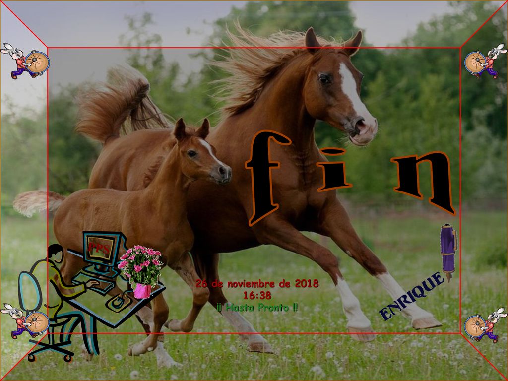 f i n PPS 26 de noviembre de :38 ¡¡ Hasta Pronto !!