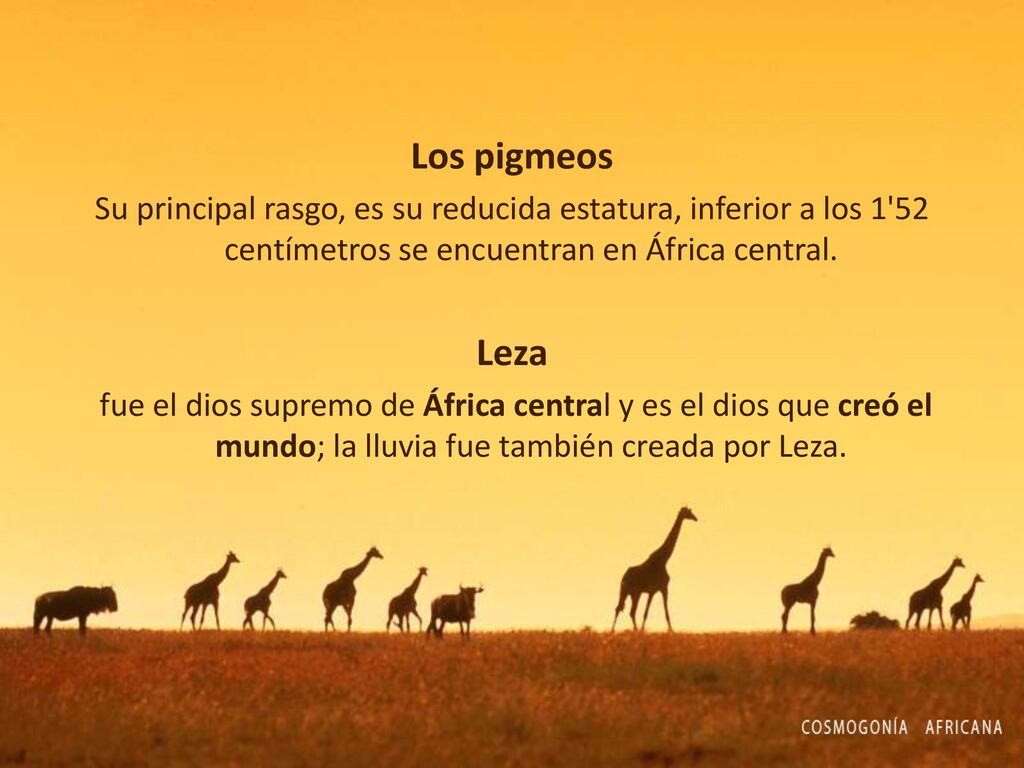 Los pigmeos Su principal rasgo, es su reducida estatura, inferior a los 1 52 centímetros se encuentran en África central.