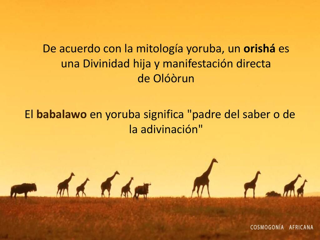 El babalawo en yoruba significa padre del saber o de la adivinación