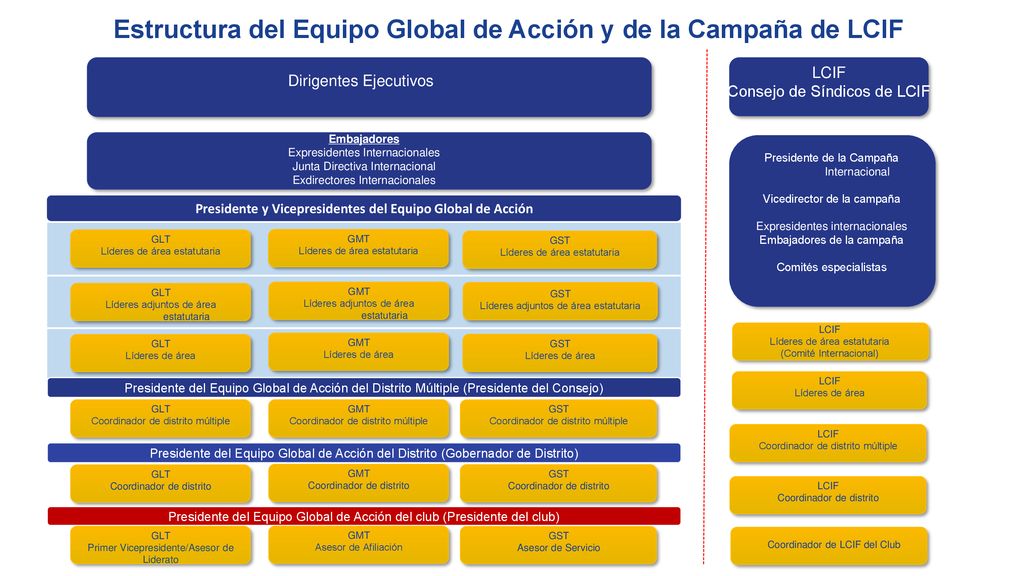 Estructura del Equipo Global de Acción y de la Campaña de LCIF