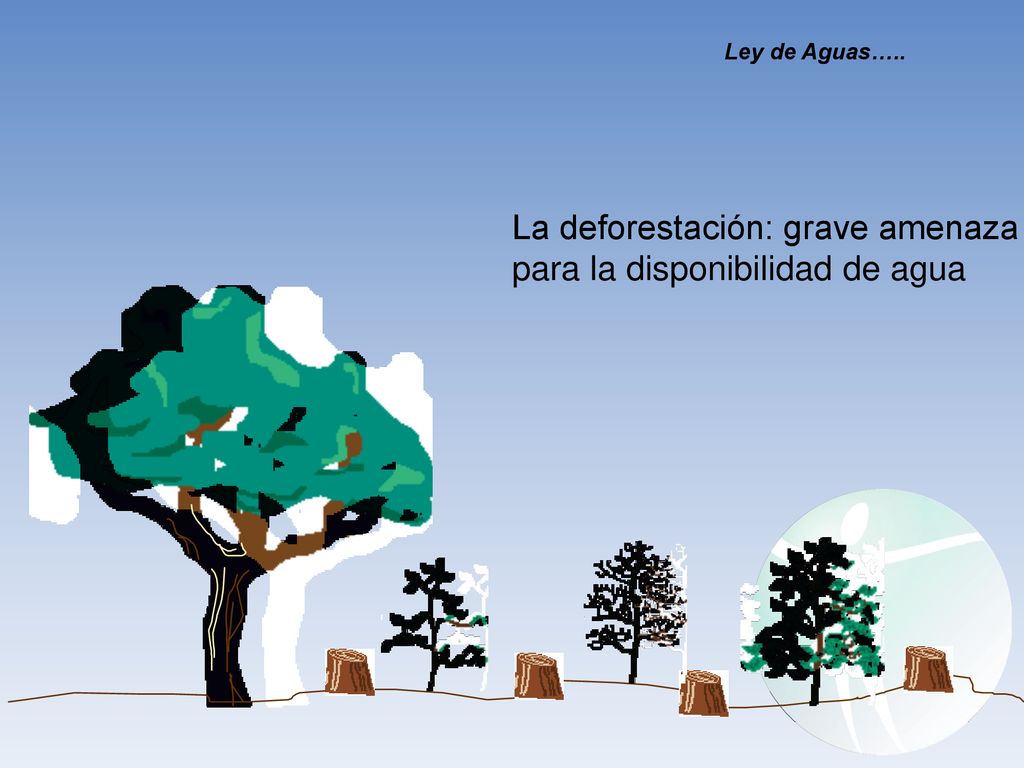 La deforestación: grave amenaza para la disponibilidad de agua