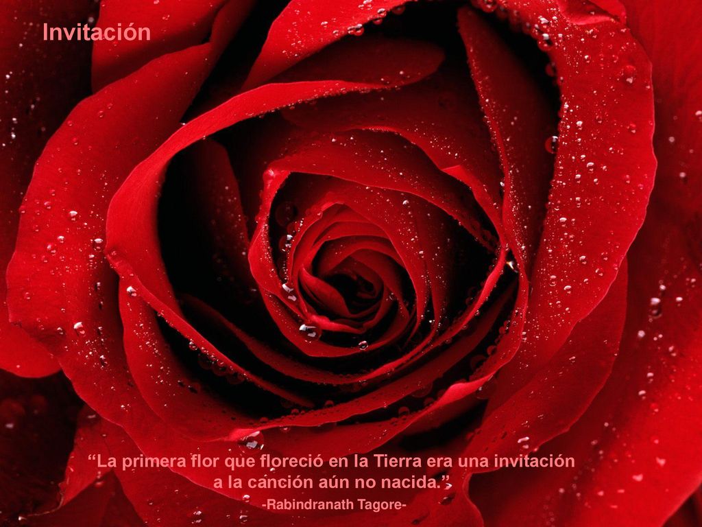 Invitación La primera flor que floreció en la Tierra era una invitación. a la canción aún no nacida.