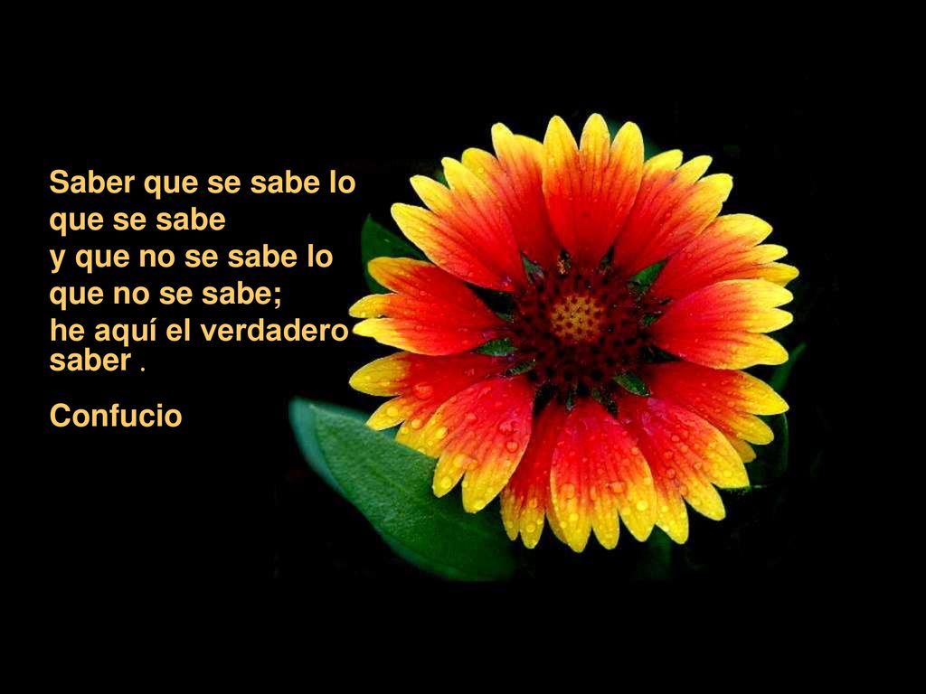 Saber que se sabe lo que se sabe y que no se sabe lo que no se sabe; he aquí el verdadero saber .