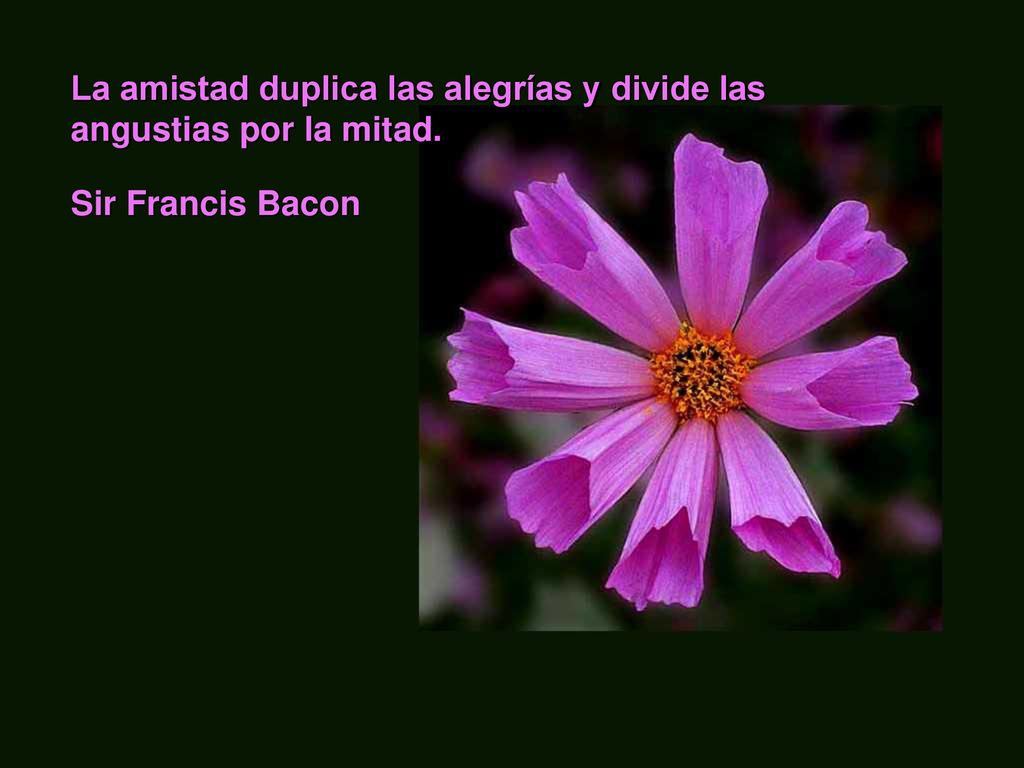 La amistad duplica las alegrías y divide las angustias por la mitad