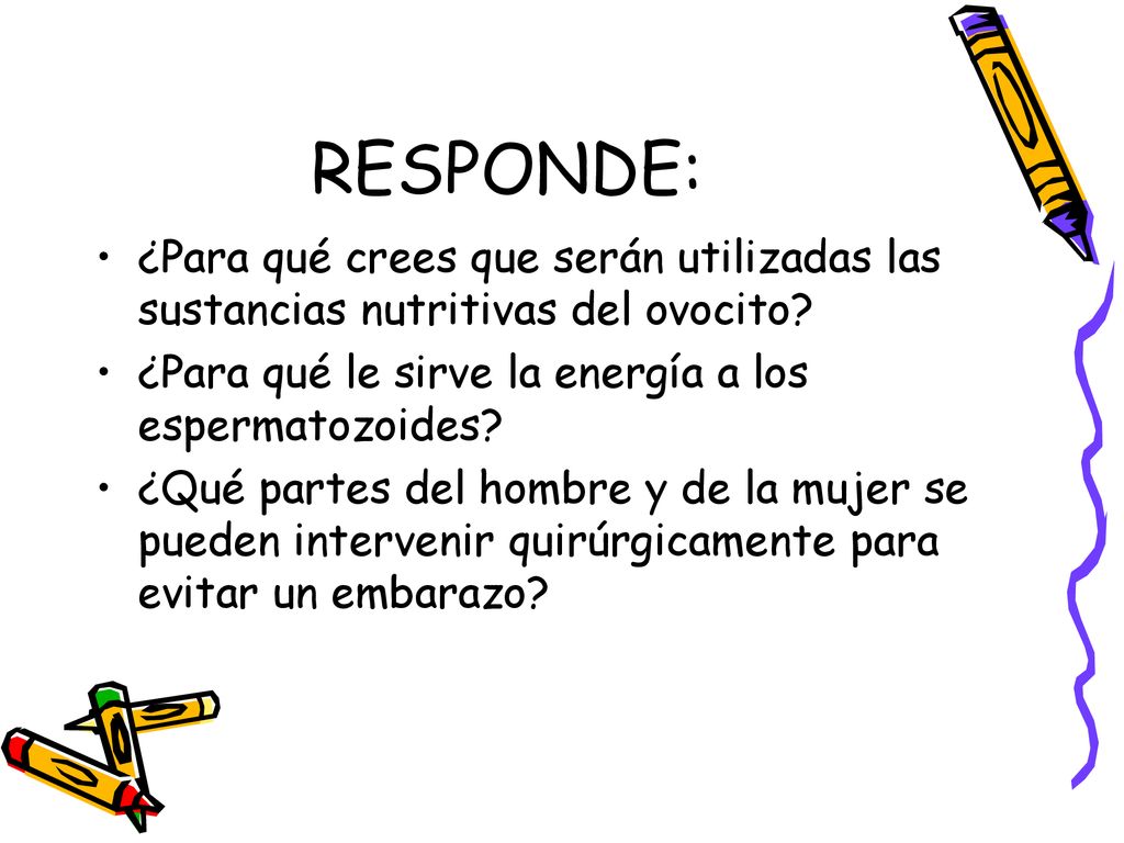 RESPONDE: ¿Para qué crees que serán utilizadas las sustancias nutritivas del ovocito ¿Para qué le sirve la energía a los espermatozoides
