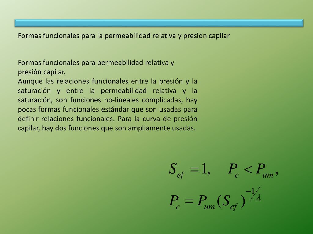 Formas funcionales para la permeabilidad relativa y presión capilar