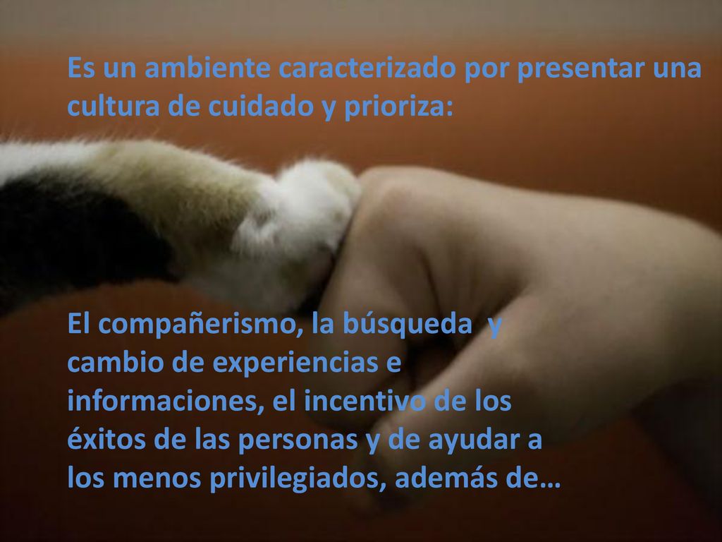Es un ambiente caracterizado por presentar una cultura de cuidado y prioriza: