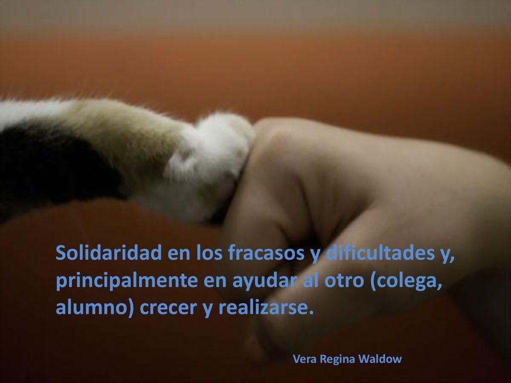 Solidaridad en los fracasos y dificultades y, principalmente en ayudar al otro (colega, alumno) crecer y realizarse.