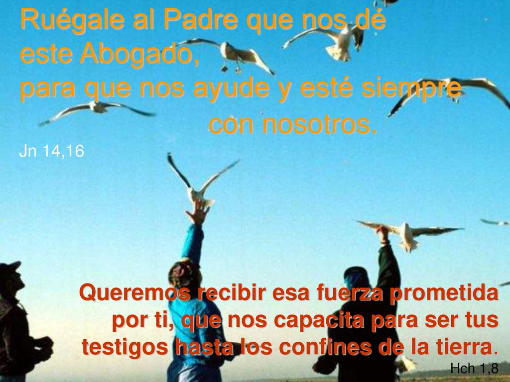 Ruégale al Padre que nos dé este Abogado, para que nos ayude y esté siempre con nosotros. Jn 14,16
