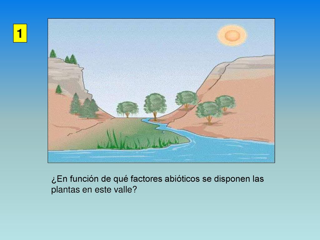 1 ¿En función de qué factores abióticos se disponen las
