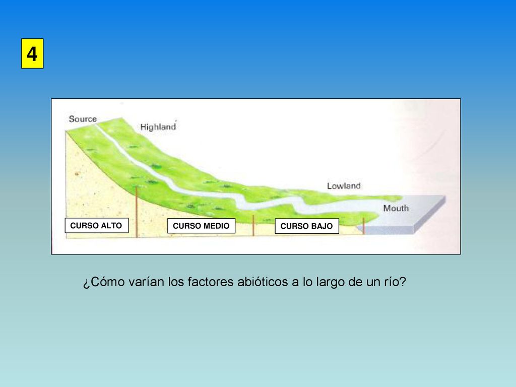 4 ¿Cómo varían los factores abióticos a lo largo de un río CURSO ALTO