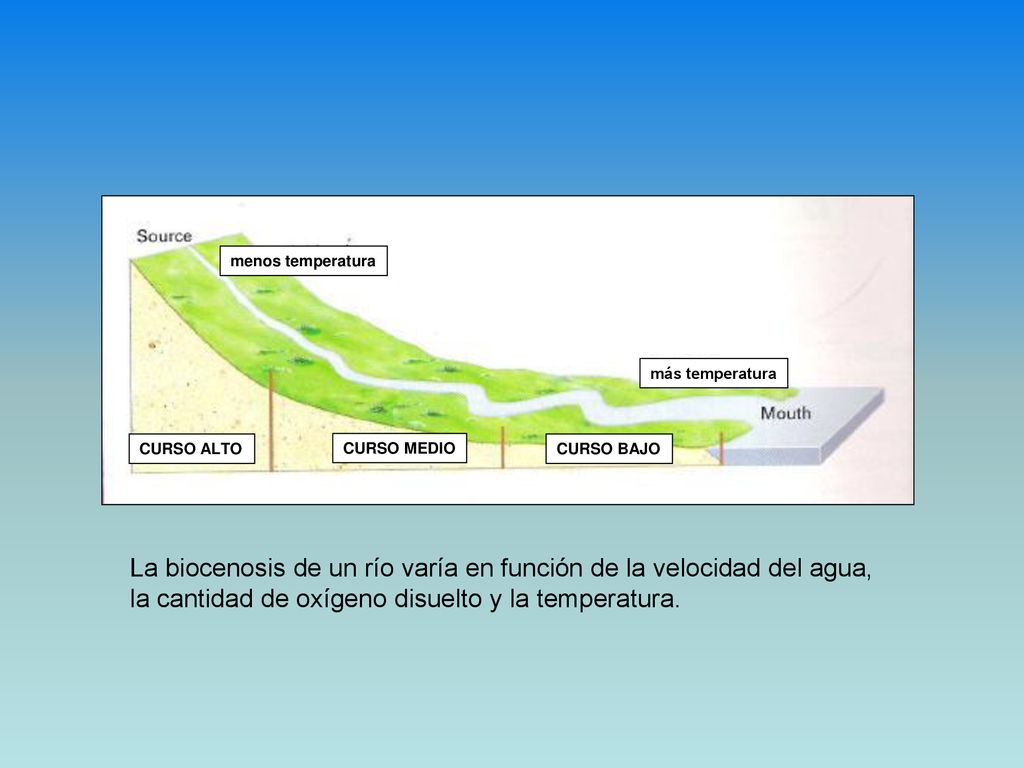 La biocenosis de un río varía en función de la velocidad del agua,
