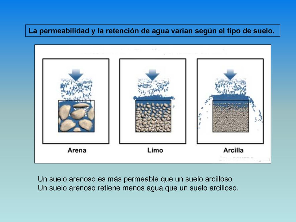 La permeabilidad y la retención de agua varían según el tipo de suelo.