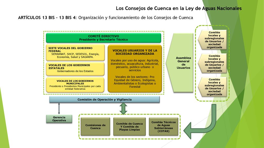 Los Consejos de Cuenca en la Ley de Aguas Nacionales