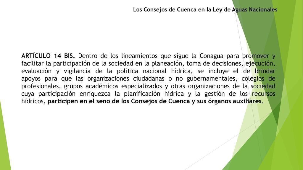 Los Consejos de Cuenca en la Ley de Aguas Nacionales