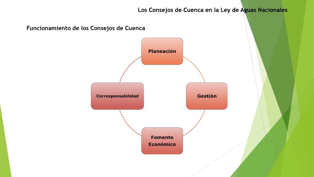 Los Consejos de Cuenca en la Ley de Aguas Nacionales