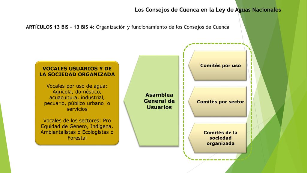 Asamblea General de Usuarios Comités de la sociedad organizada