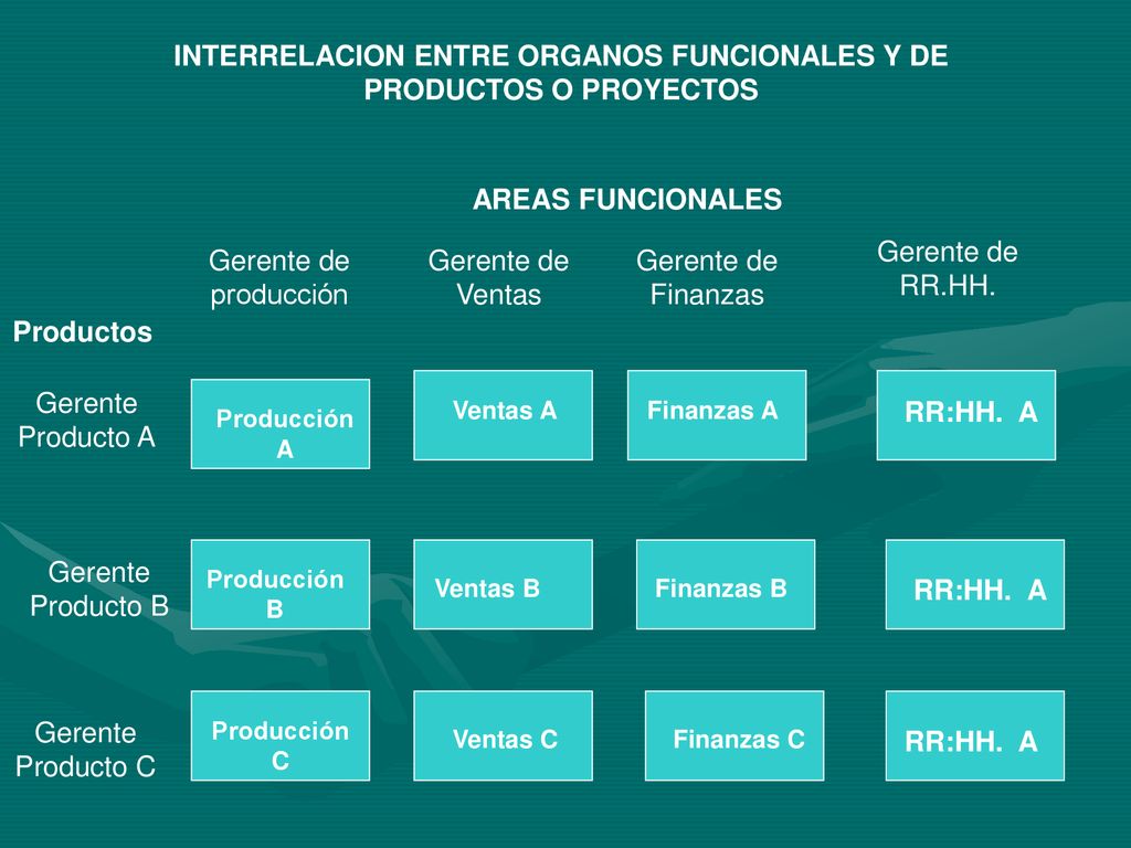 INTERRELACION ENTRE ORGANOS FUNCIONALES Y DE PRODUCTOS O PROYECTOS