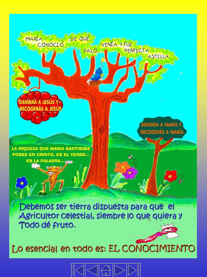 Lo esencial en todo es: Debemos ser tierra dispuesta para que el