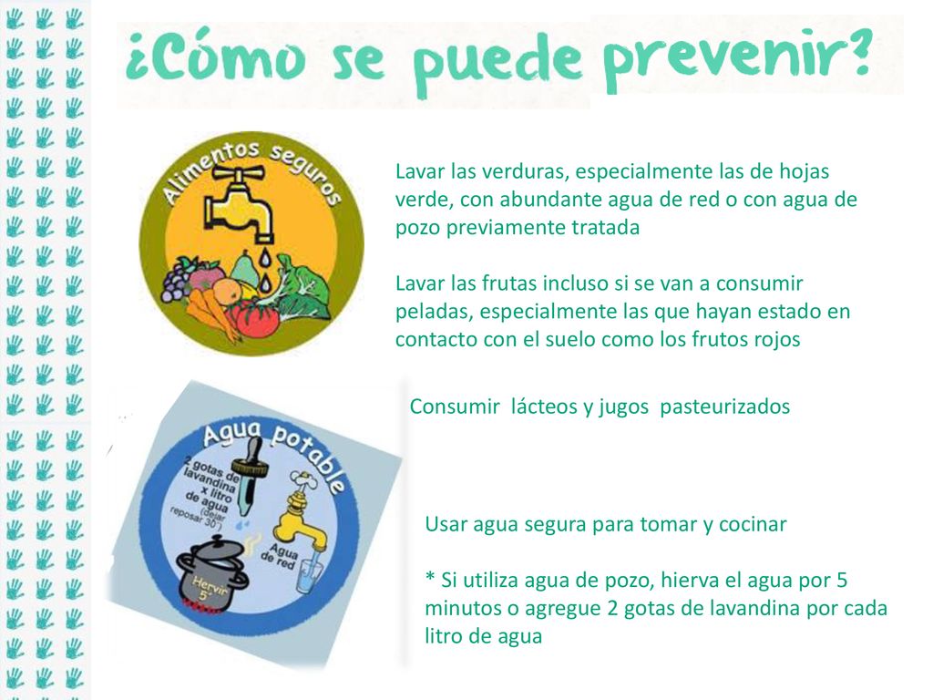 Lavar las verduras, especialmente las de hojas verde, con abundante agua de red o con agua de pozo previamente tratada