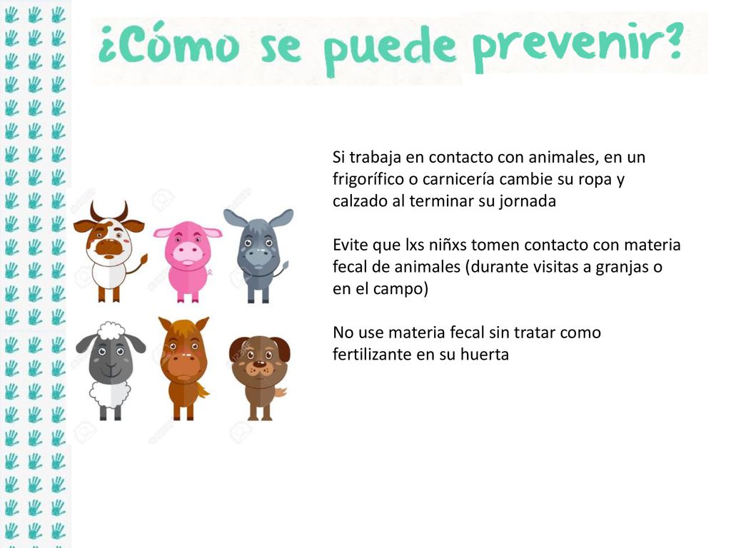 Si trabaja en contacto con animales, en un frigorífico o carnicería cambie su ropa y calzado al terminar su jornada