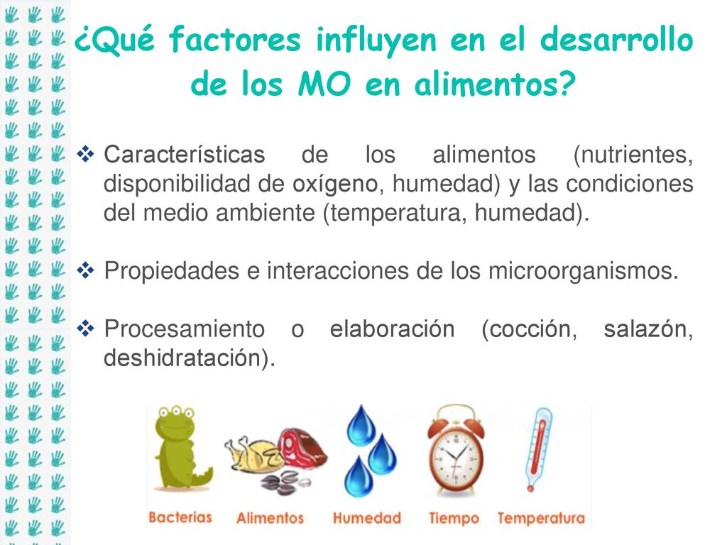 ¿Qué factores influyen en el desarrollo de los MO en alimentos