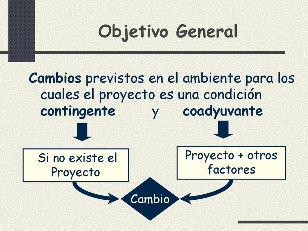 Objetivo General Cambios previstos en el ambiente para los cuales el proyecto es una condición contingente y coadyuvante.