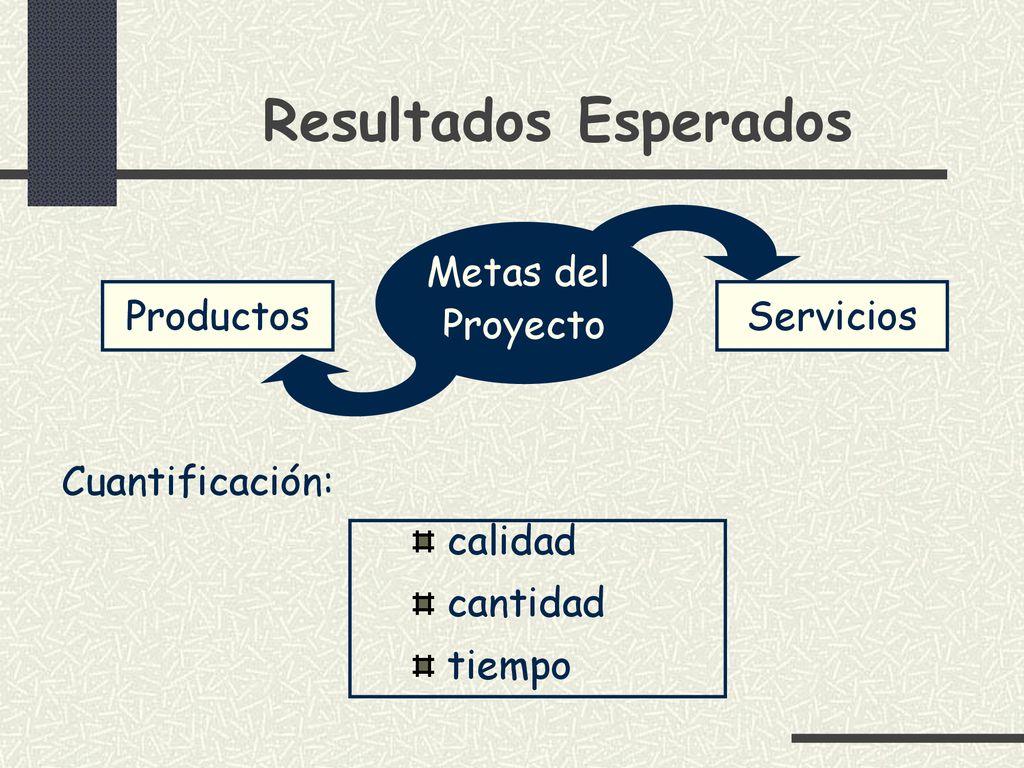 Resultados Esperados Metas del Proyecto Productos Servicios