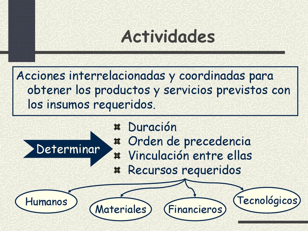 Actividades Acciones interrelacionadas y coordinadas para obtener los productos y servicios previstos con los insumos requeridos.