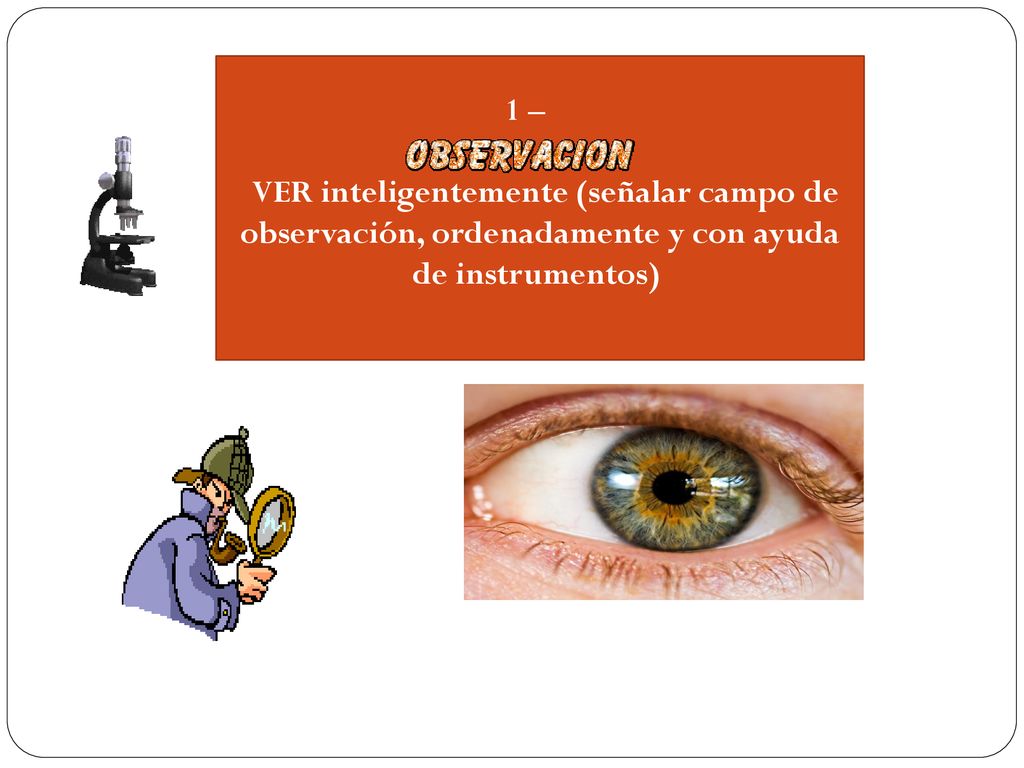 1 – VER inteligentemente (señalar campo de observación, ordenadamente y con ayuda de instrumentos)