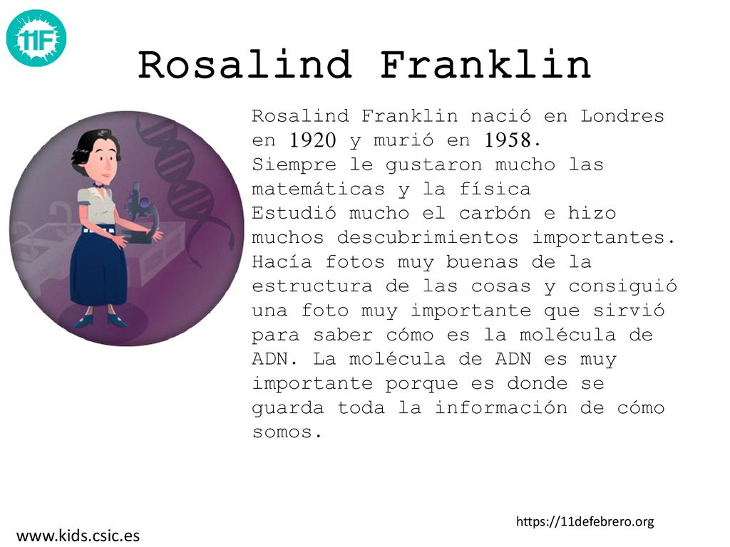 Rosalind Franklin Rosalind Franklin nació en Londres en 1920 y murió en Siempre le gustaron mucho las matemáticas y la física.