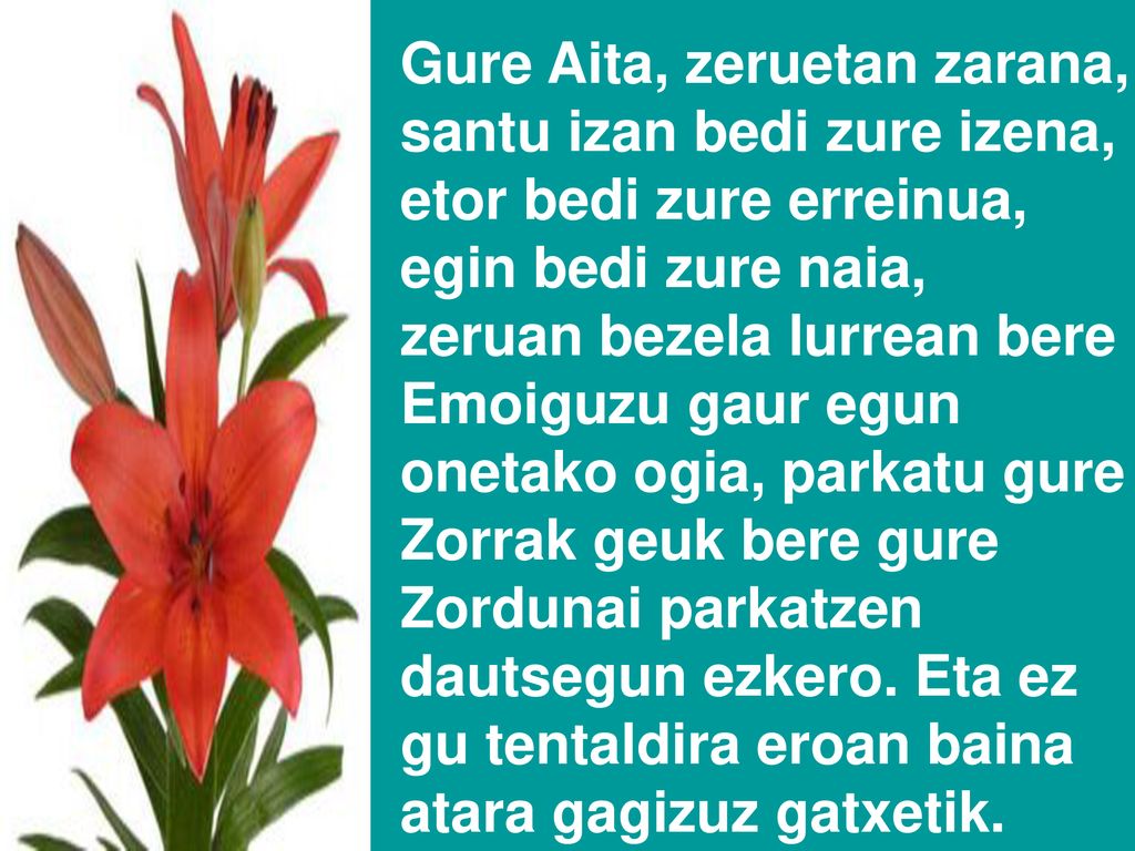 Gure Aita, zeruetan zarana, santu izan bedi zure izena, etor bedi zure erreinua, egin bedi zure naia, zeruan bezela lurrean bere Emoiguzu gaur egun