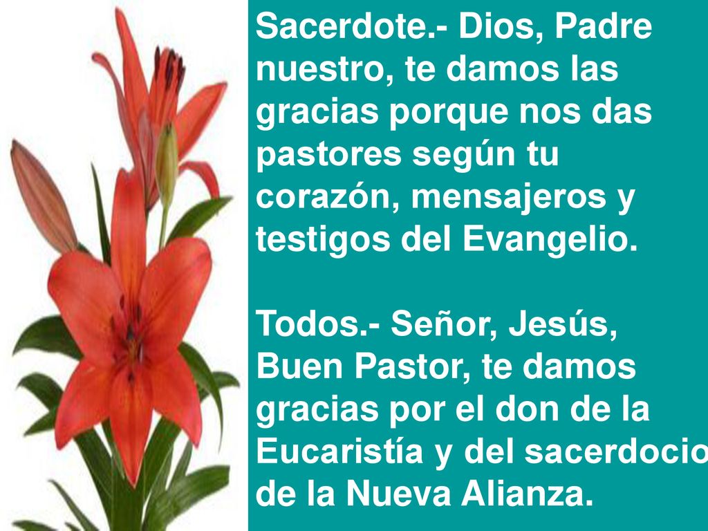 Sacerdote.- Dios, Padre nuestro, te damos las. gracias porque nos das. pastores según tu. corazón, mensajeros y.