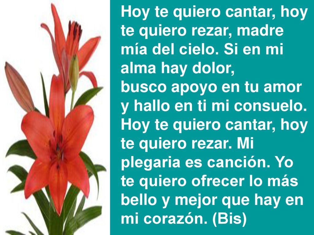 Hoy te quiero cantar, hoy te quiero rezar, madre mía del cielo